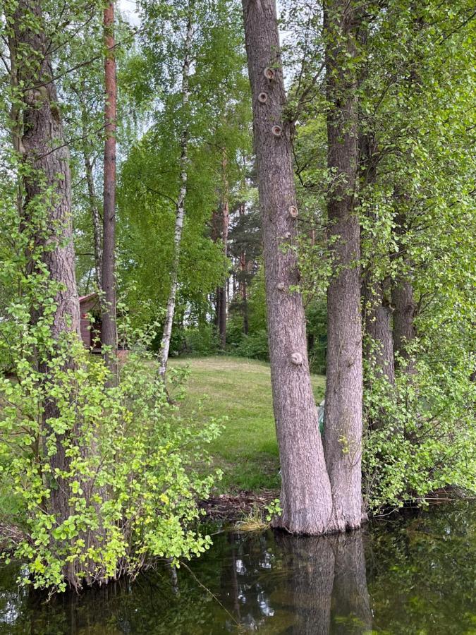 Apartament Comfort W Kujankach Nad Jeziorem Kujanki  Exteriér fotografie